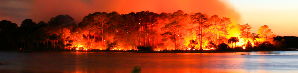 Florida Wildfire